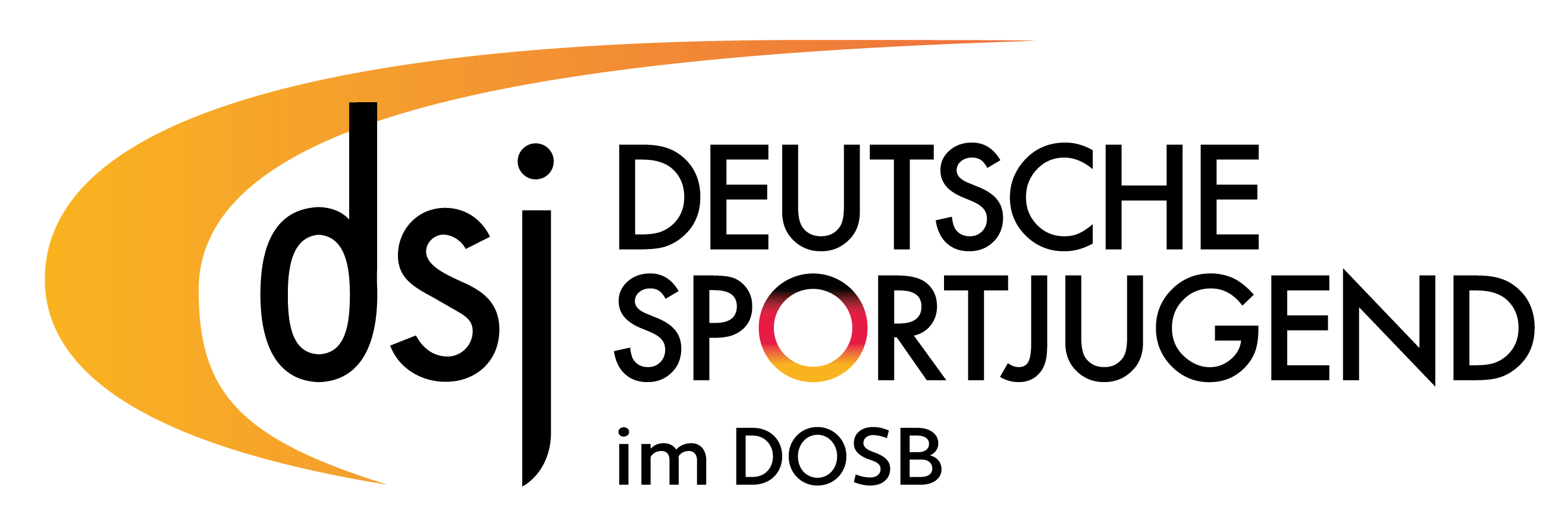 Logo dsj